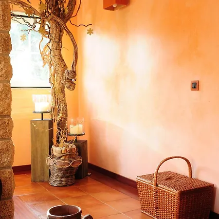 A House With Soul Tatil Evi Paço de Sousa